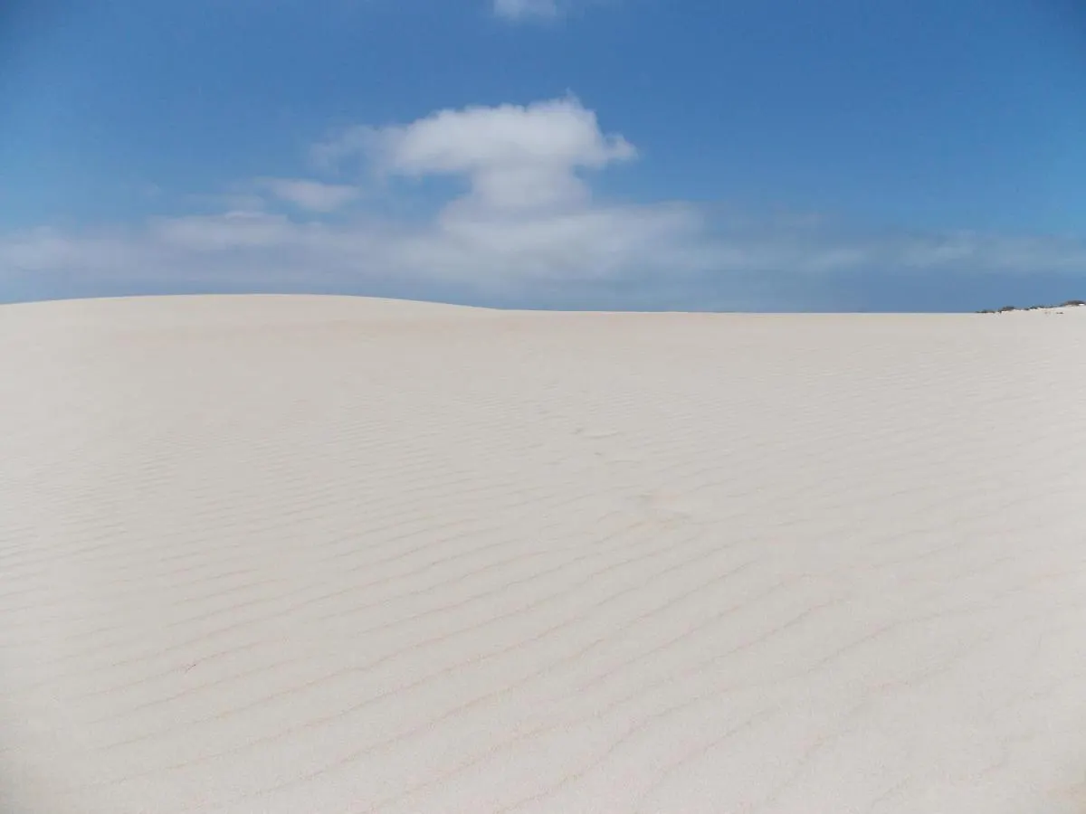 شقة Pent House Ocean View Cotillo